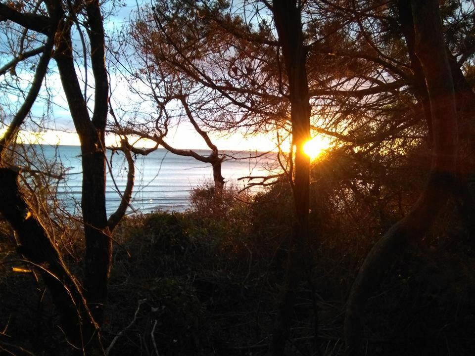 Golfo Di Maremma Village Albinia Buitenkant foto